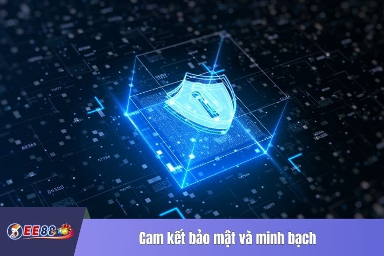 Cam kết bảo mật và minh bạch