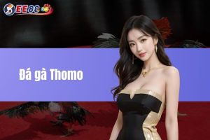 Đá gà Thomo - Môn thể thao đầy kịch tính và hấp dẫn