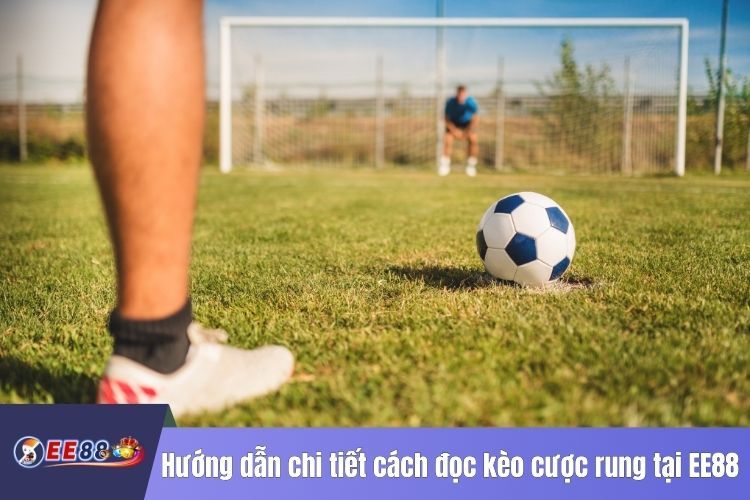 Hướng dẫn chi tiết cách đọc kèo cược rung tại EE88