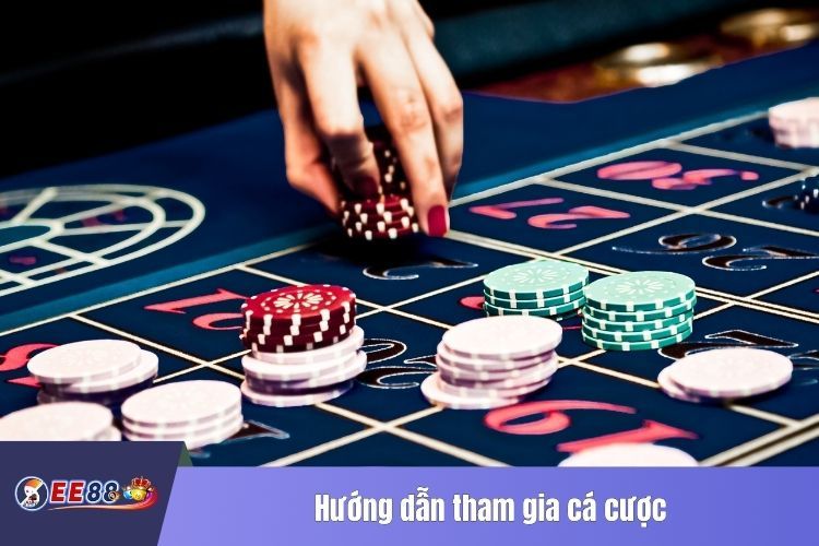 Hướng dẫn tham gia cá cược