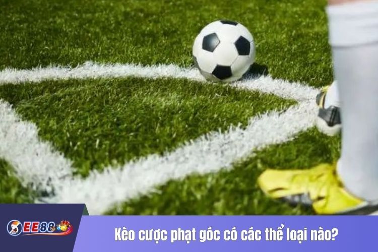 Kèo cược phạt góc có các thể loại nào?