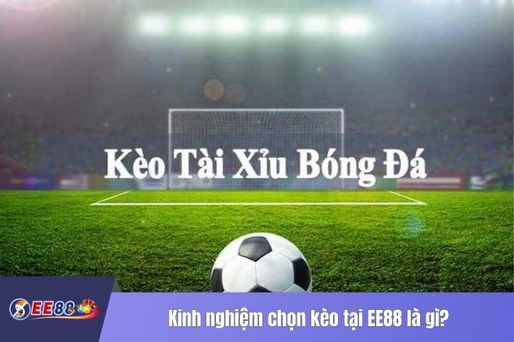 Kinh nghiệm chọn kèo tại EE88 là gì?