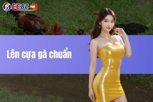 Lên cựa gà chuẩn – Bí quyết cải thiện sức mạnh cho gà đá