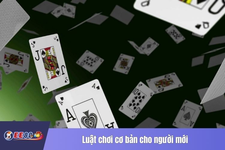 Luật chơi cơ bản cho người mới