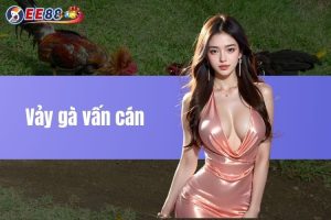 Vảy gà vấn cán là gì? Tổng hợp các thông tin liên quan đến vảy vấn cán